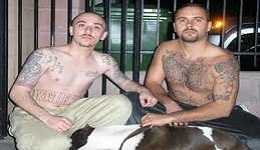 Երեքից երկուսը հայ են