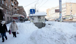 Պտուղը ծառից հեռո՞ւ է ընկել