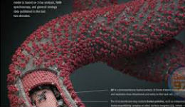 Էբոլա վիրուսն մոտ 4000 մարդու կյանք է խլել