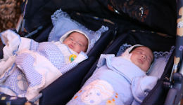 Նոյեմբերի 7-ից 13-ն ընկած ժամանակահատվածում մայրաքաղաքում ծնվել է 463 երեխա` 232 տղա և 231 աղջիկ