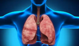 Ախտանշաններ, որոնք կարող են հուշել թոքերի քաղցկեղի զարգացման մասին
