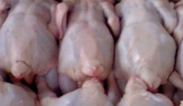 Տեղական շուկա ներմուծված հավի միսը վտանգավոր է մարդու առողջության համար. ԼՂՀ ՍԱՊԾ պետ